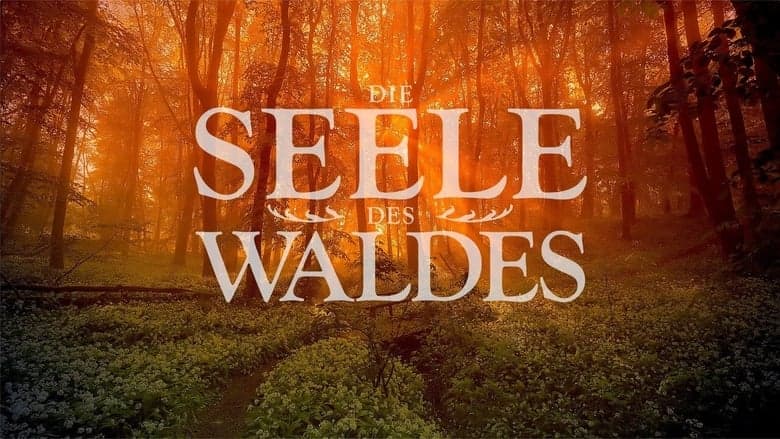 Die Seele des Waldes